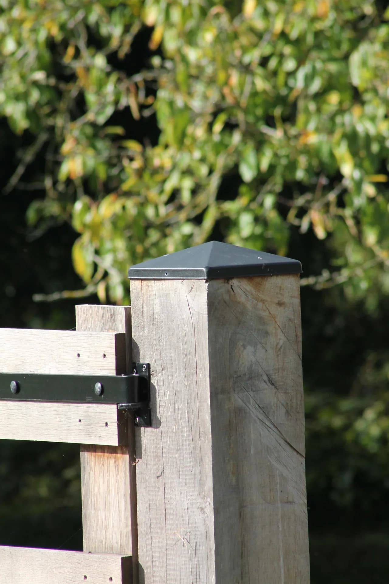 Landhekken – maatwerk van Hospes Hout, foto 3